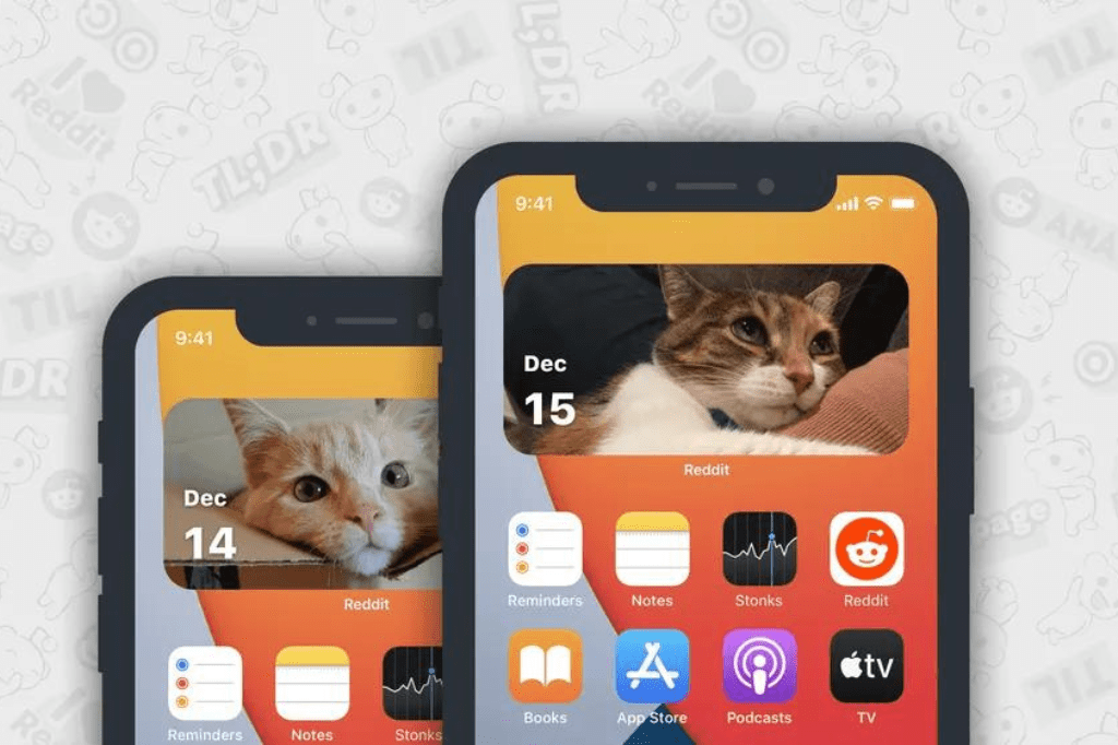 Foto: Divulgação/Reddit